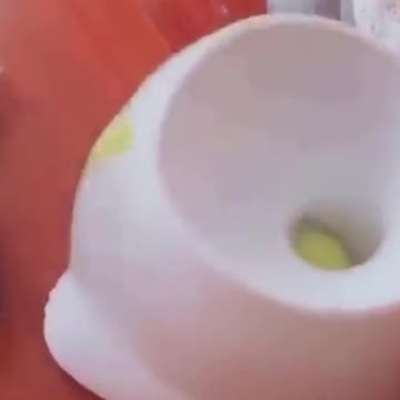 PETS NEVER LIE ABOUT LOVE-21 #shorts