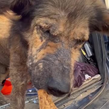 How we found him two years ago.!