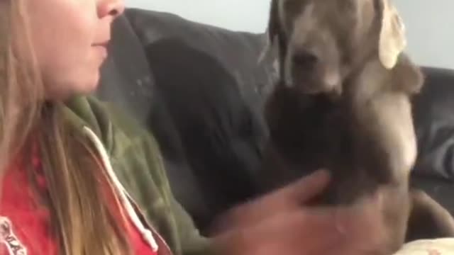That smile at the end, he's so happy with himself 😂