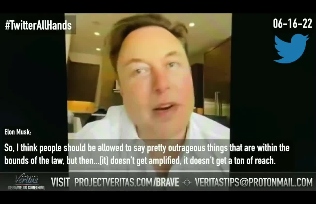 Project Veritas leaked Twitter's 'All Hands' internal meeting with Elon Musk.