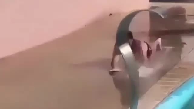 You see this guy, number one Bullsh*t guy!!