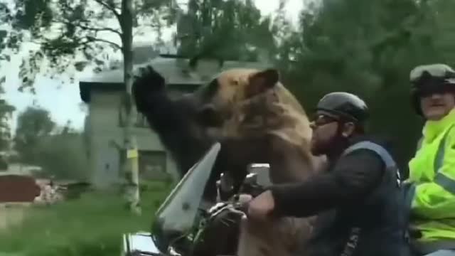 Enjoying ride