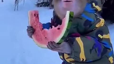🤣Funny Monkey Videos 2021🤣 🐶 It's time to LAUGH with THUG's Monkey' life in 2021