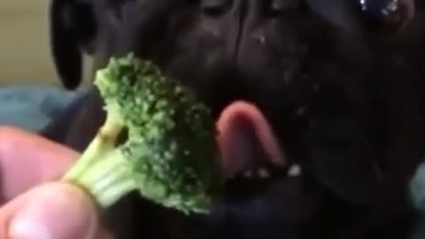 In love with broccoli