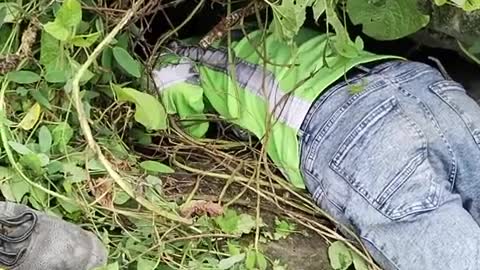 Construction Workers Find and Save Puppies on Work Site