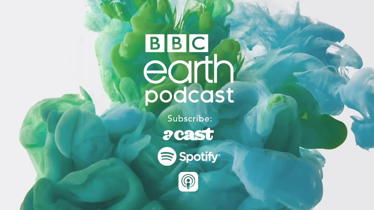 Diving 1000m Below The Surface | BBC Earth Podcast