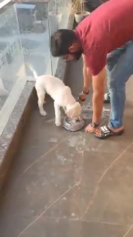 My girlfriend gift me the papi