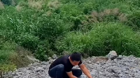 Funny Video