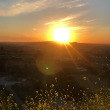 Views of nature 2019