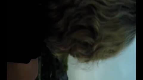 Hollywood movies clips, New Hollywood movies , Rumble trading movie