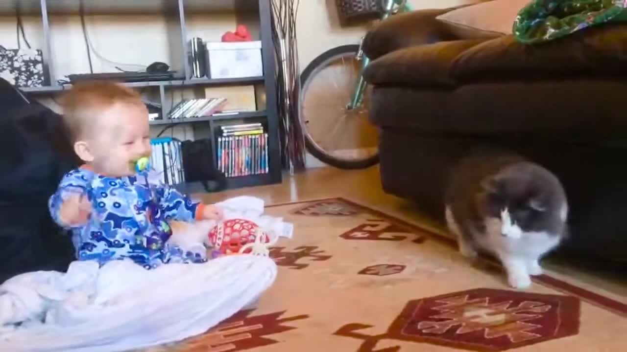 24 second funny video