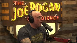 JRE Clips - Joe's Thoughts on the Trump Podcast and If Kamala Will Be On