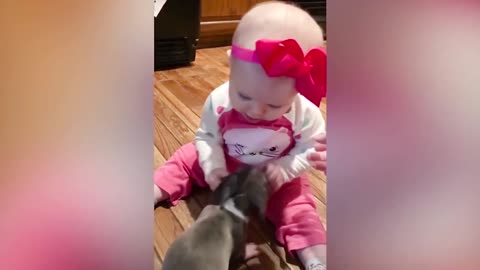 OMG Best Moments Dogs