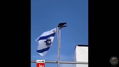 What Happened In Gaza