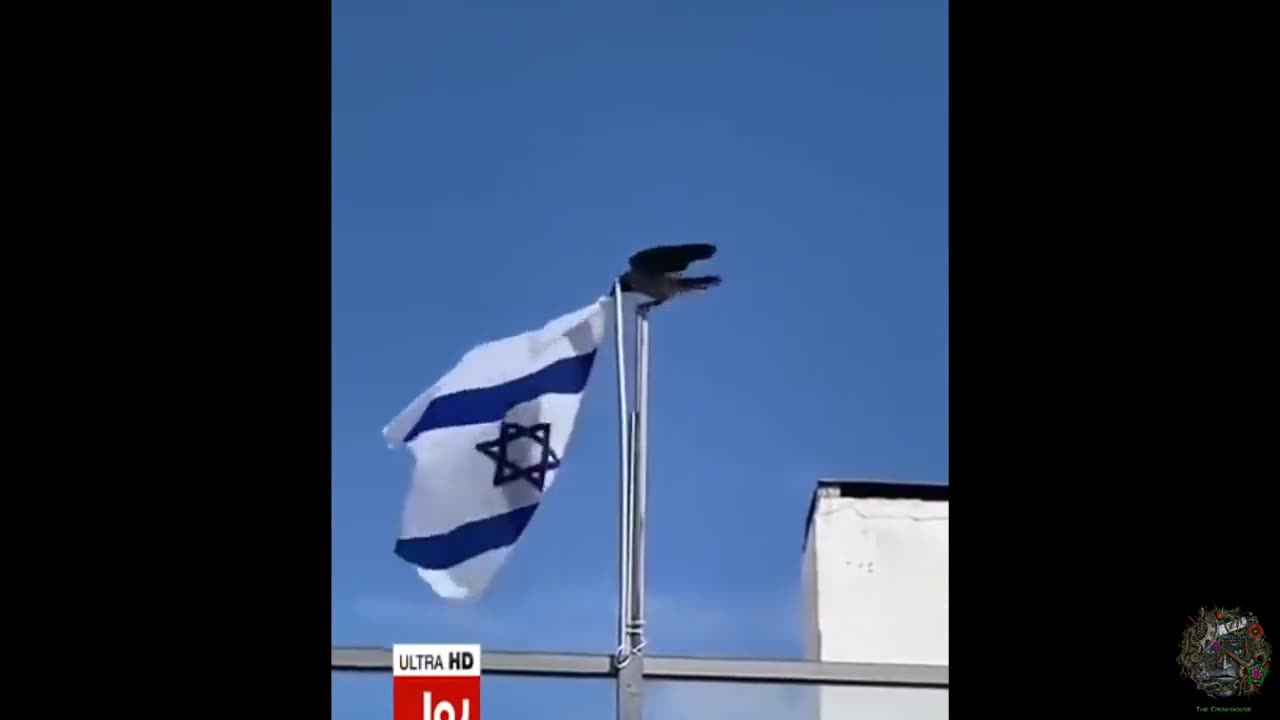 What Happened In Gaza