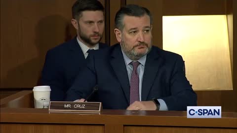 Ted Cruz asks the FBI very UNCOMFORTABLE questions....Jan 6