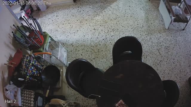 hallmid midnight 20220113