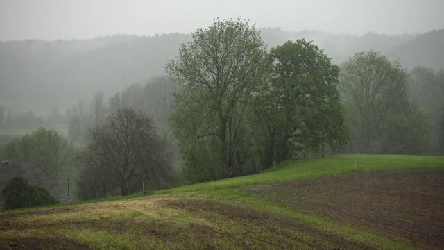 Sound of rain, with thunder