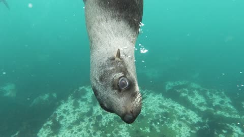 nothing like an under water view