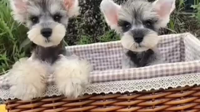my teeth can bite your hand