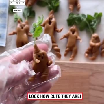 Noisy Mandrake Brownies 🪴