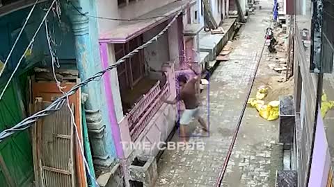 Monkey takes down man in one move