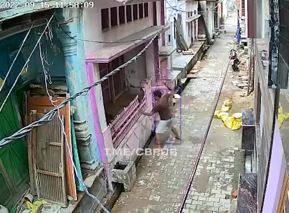 Monkey takes down man in one move