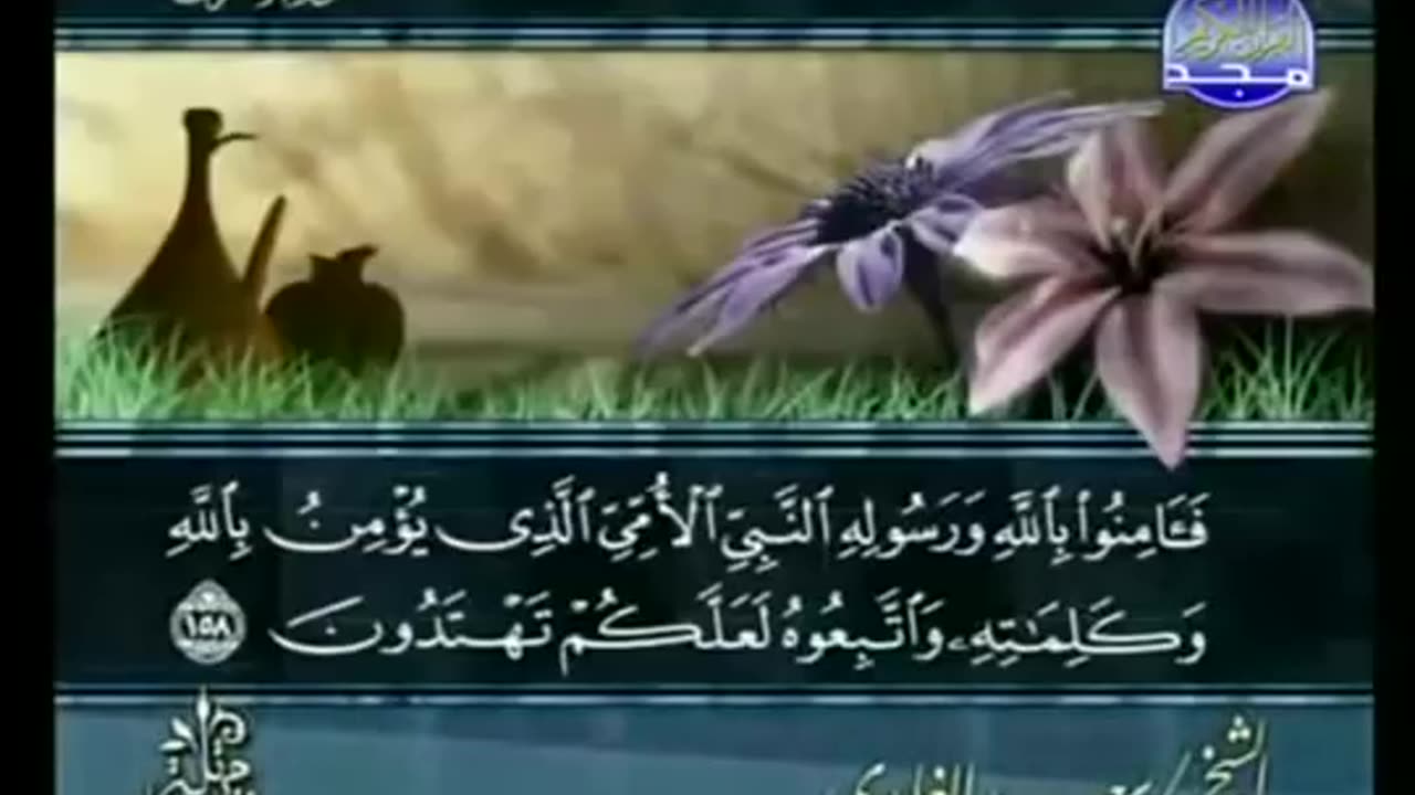 complete Quran Arabic Juz' 9 Shaikh Saad Al Ghamdi