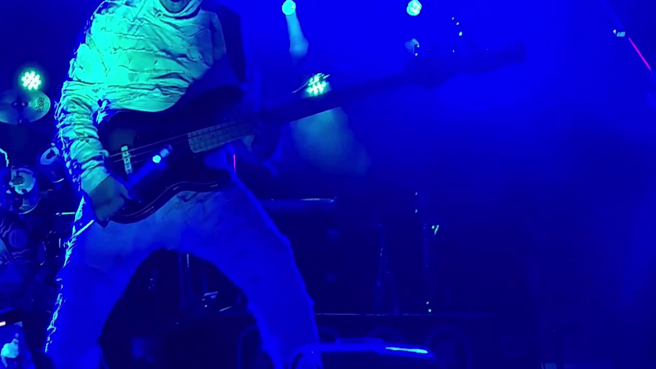 K.W. Tut (Here Come The Mummies) - LIVE @ Avondale (Short)