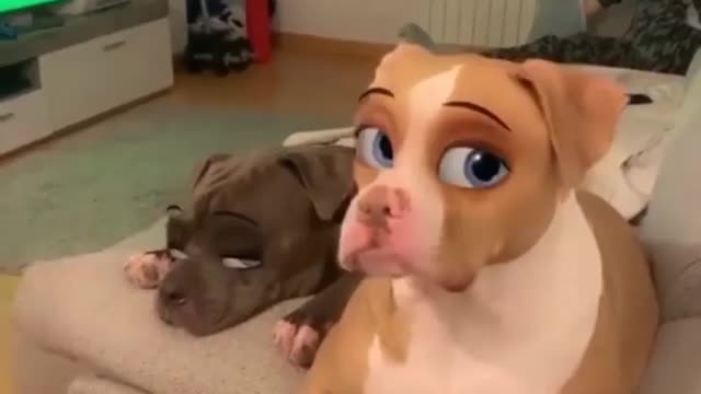 Pitbull using Disney filter