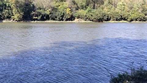 A messy day at the river.