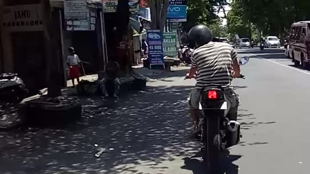 Starling Hitches a Ride on Motorcycle