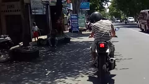 Starling Hitches a Ride on Motorcycle