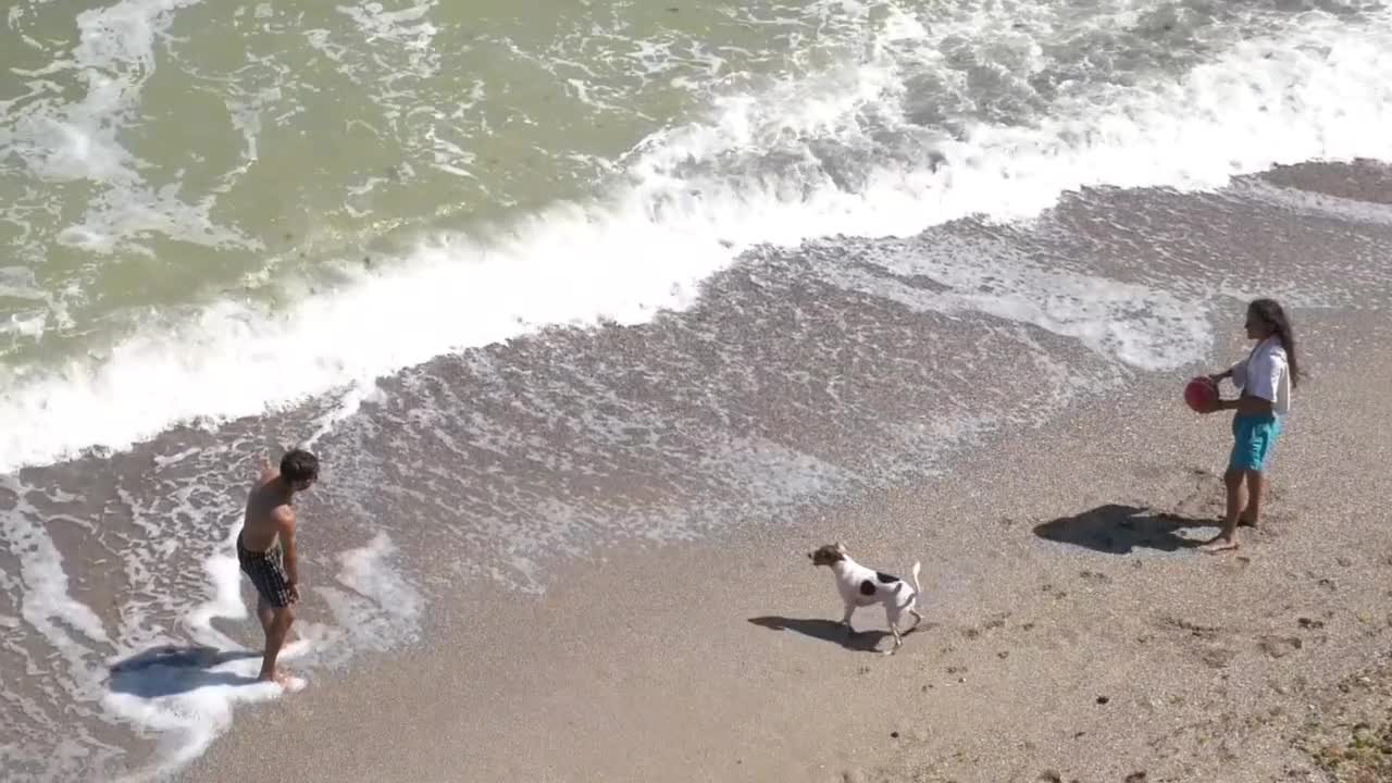 Sammar Beach playing with dog || playing video.