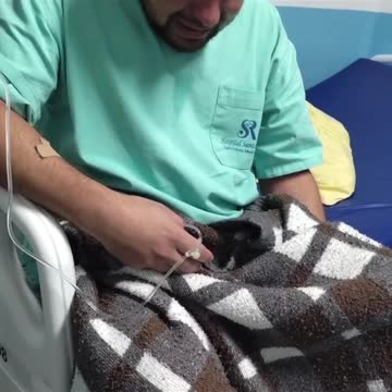 WARNING, NOT FOR KIDS; AFTER A SHOT, REGRETS AND PAIN