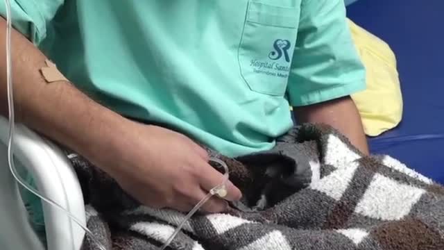 WARNING, NOT FOR KIDS; AFTER A SHOT, REGRETS AND PAIN