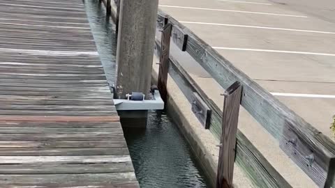 Kemah Marina Rising Waters 1