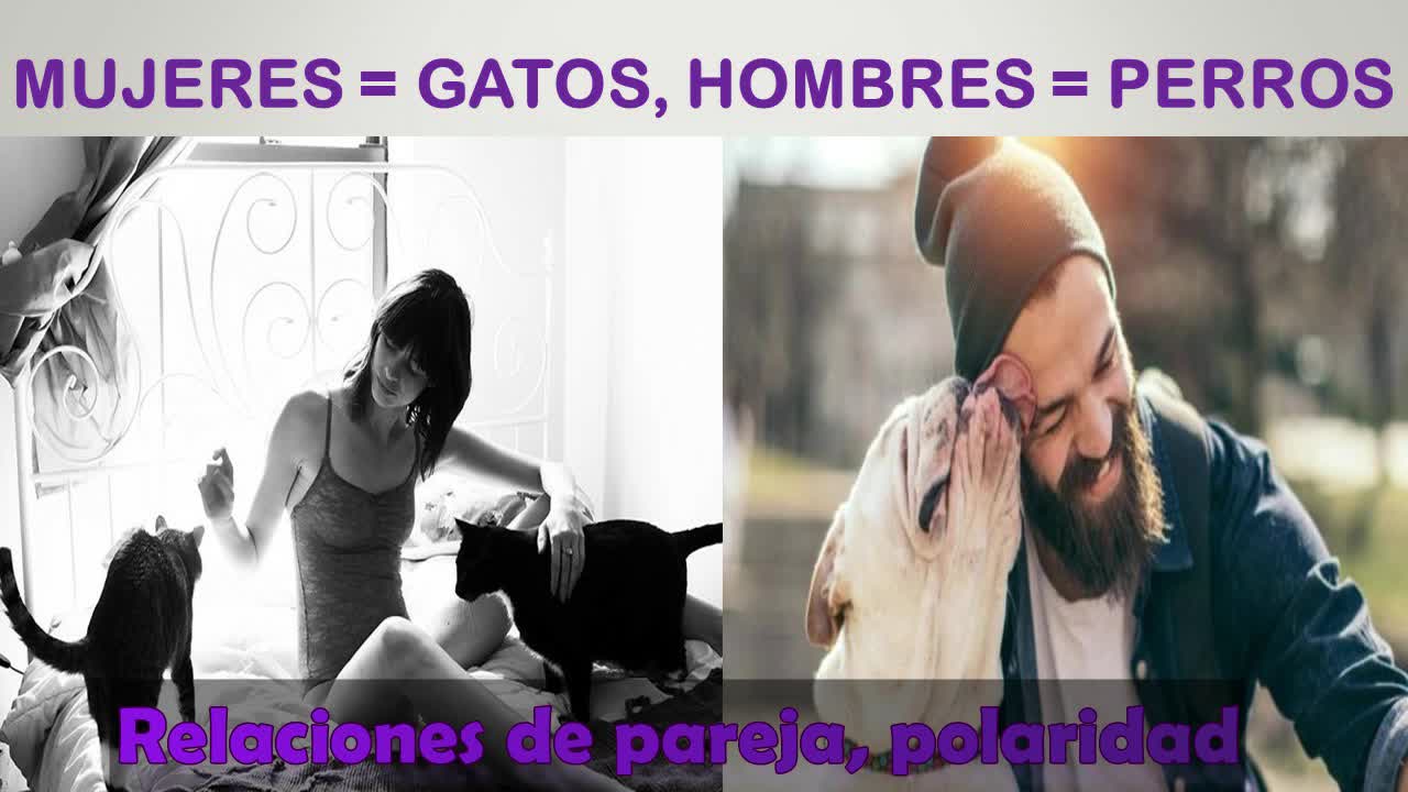 Mujeres = gatos🐈 Hombres = perr0s 🐶 (es una analogía de como son los hombres betas) 💖💝💘