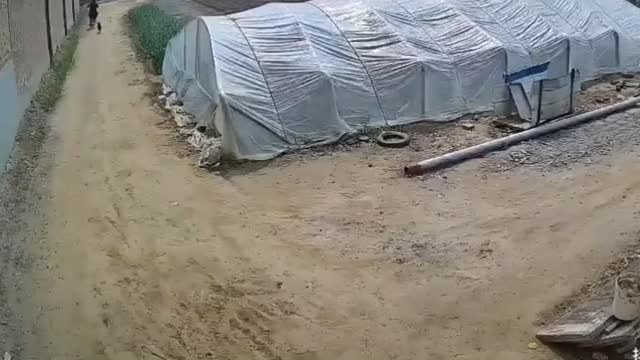 Funny fail compilation 2022