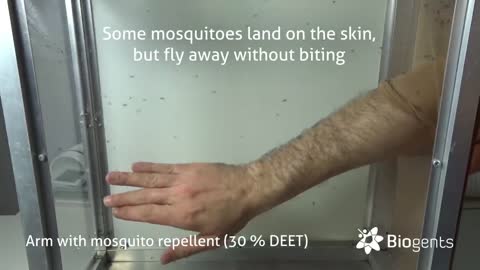 Do ultrasound mosquito repellers work?