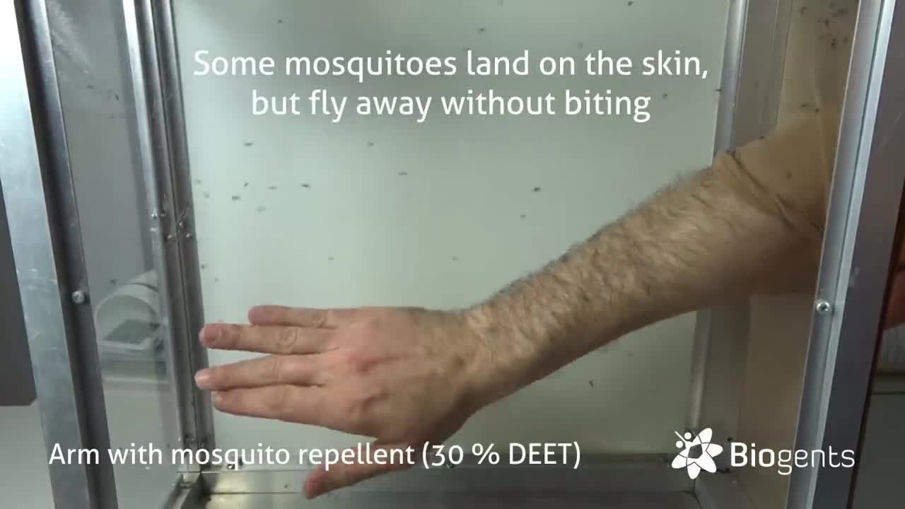 Do ultrasound mosquito repellers work?