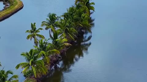 Kerala ❤️