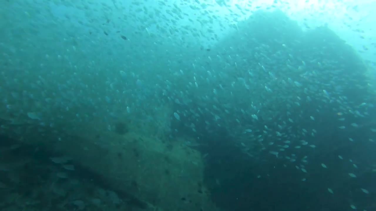 CHEAPEST Scuba Diving in Asia | Perhentian Islands