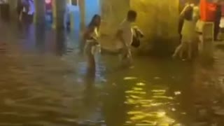 Caballo cochero durante las lluvias