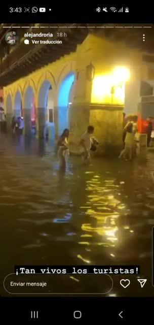 Caballo cochero durante las lluvias