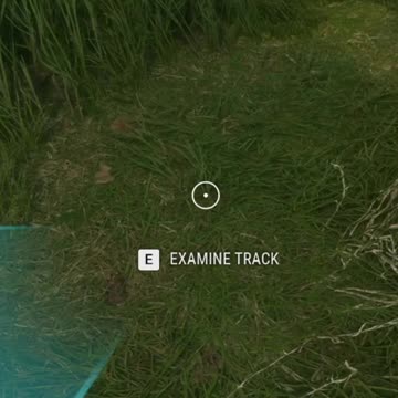 A Pronghorn for Me Hunter Call of the Wild