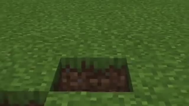 Working Minecraft TikTok Hacks in Minecraft !