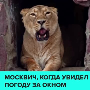 Doesn’t like the way the new year is going 😂