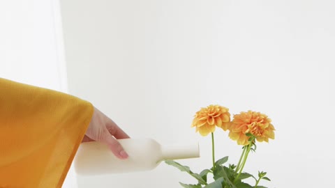 Providing Water In Flowers