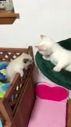 Someone is extremely proud of his accomplishment.